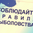 В Алтайском крае скоро нерест! - Администрация Табунского района