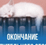 О завершении отопительного сезона. - Администрация Табунского района